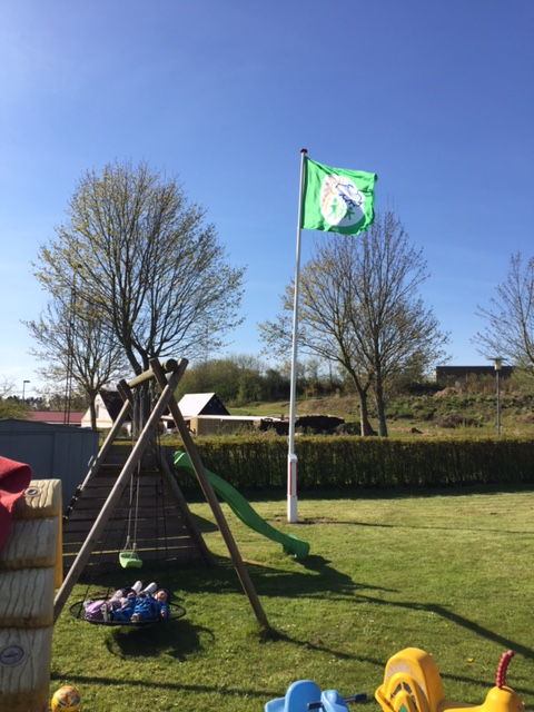 Naturdagplejernes grønne flag