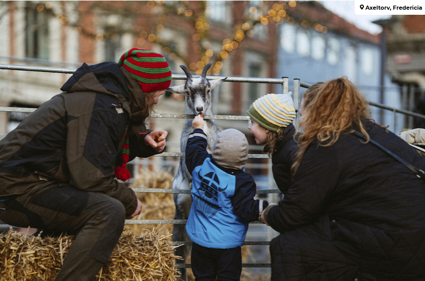 Billede af dyrene på Axeltorv