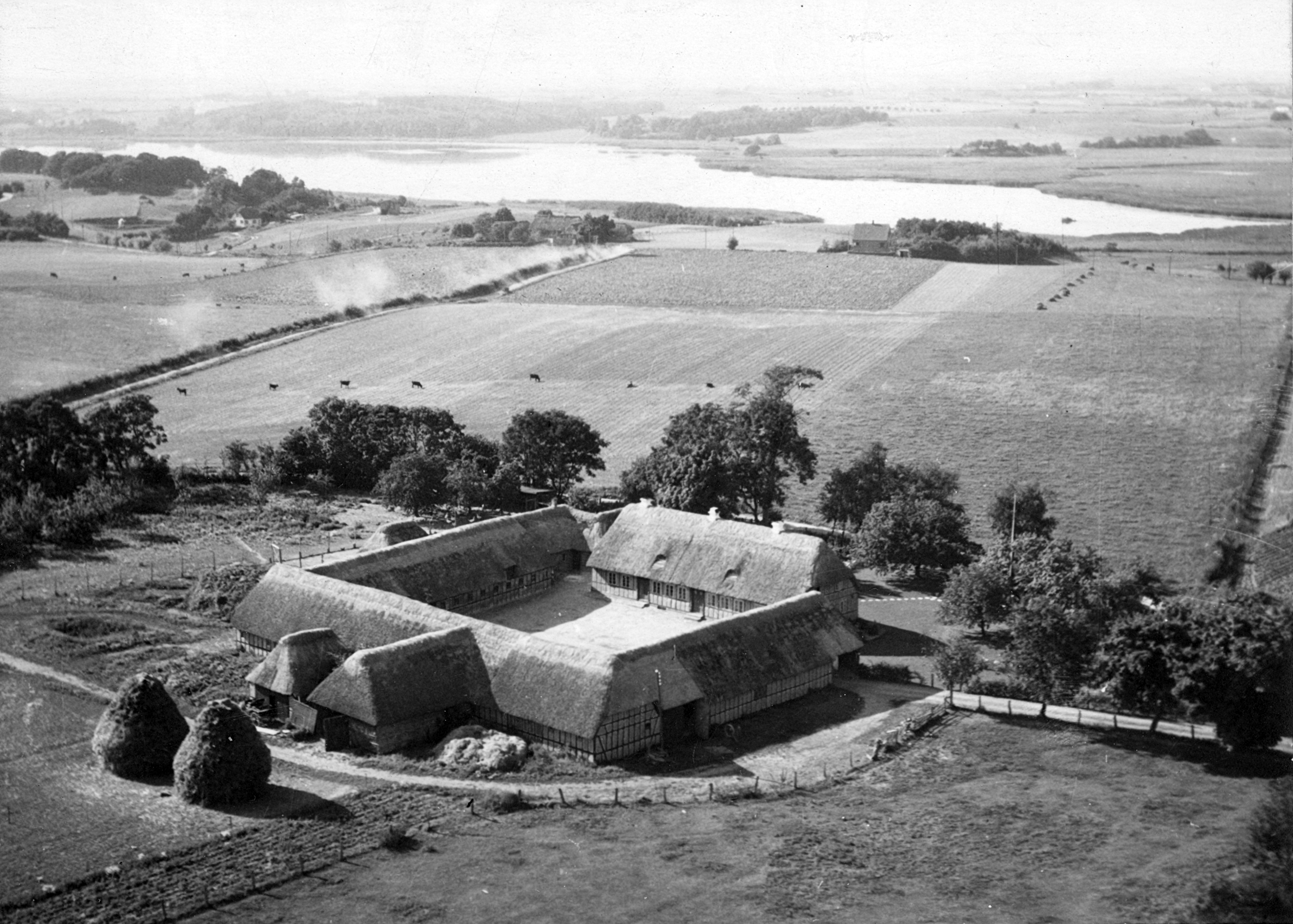 Luftfoto af Kringsminde fra 1951