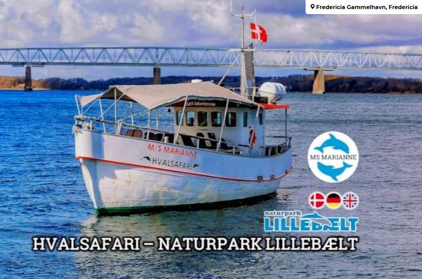 Billede af turskib