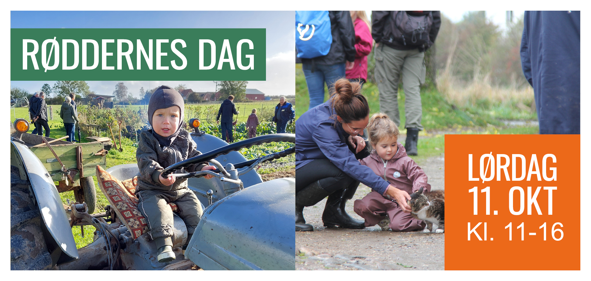 Røddernes dag 2025