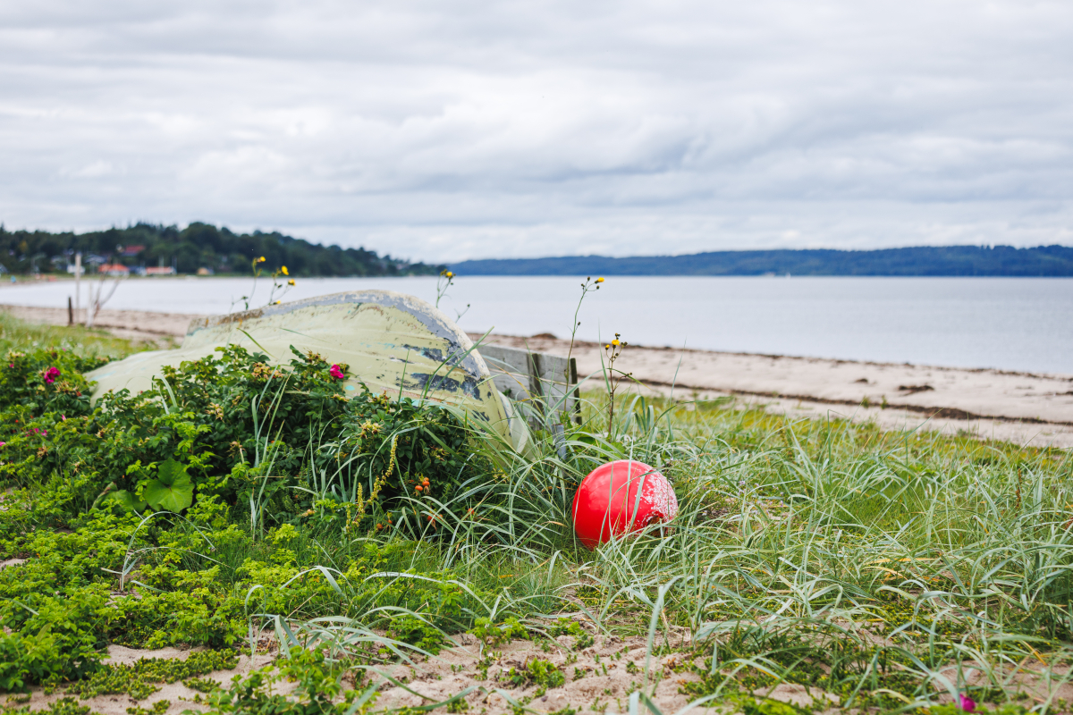 Billede fra Bøgeskov Strand