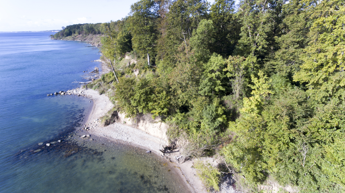 kyststrækning ved Treldeskovene