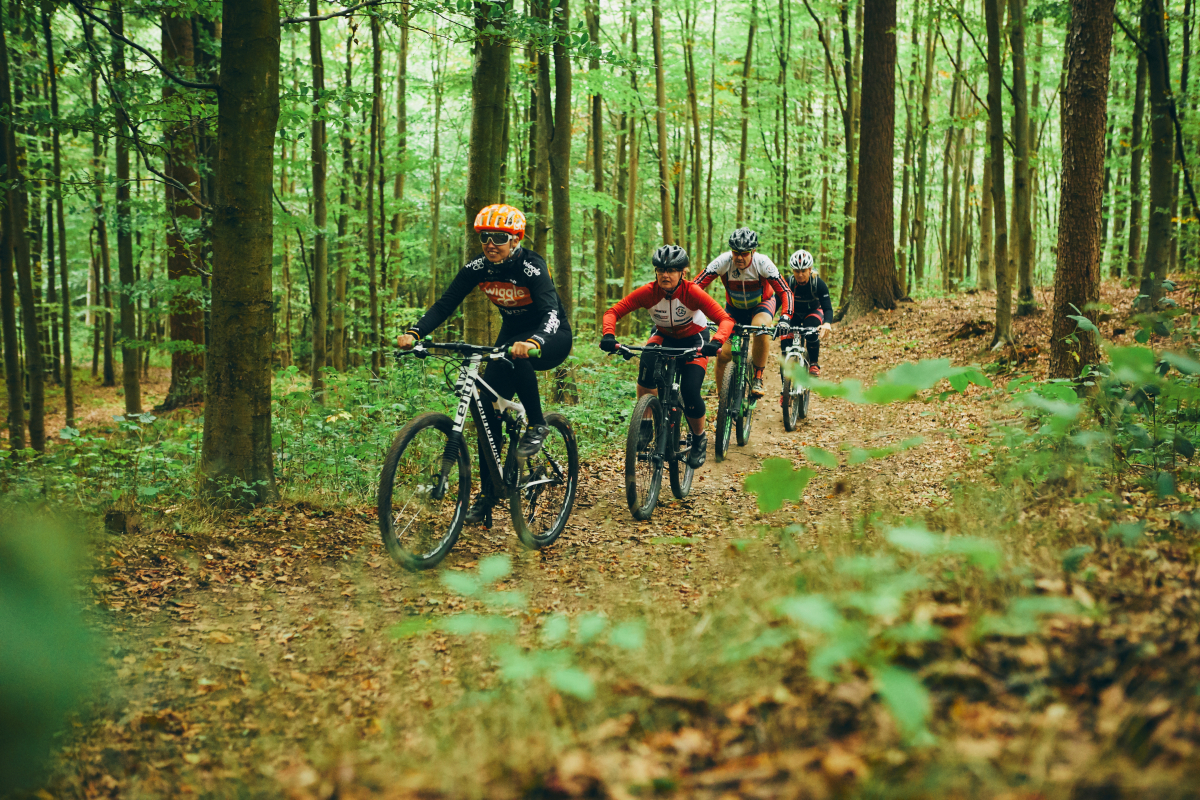 Mountainbikespor i Hannerupskoven