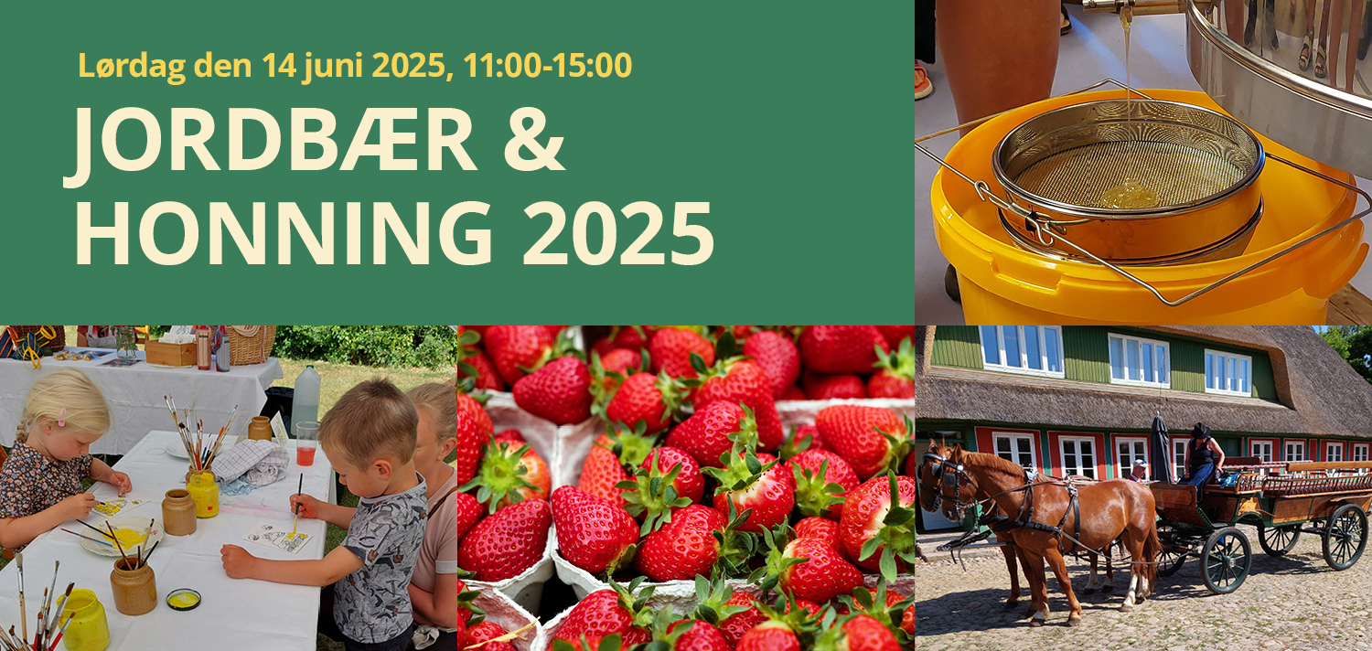 Jordbær & Honning