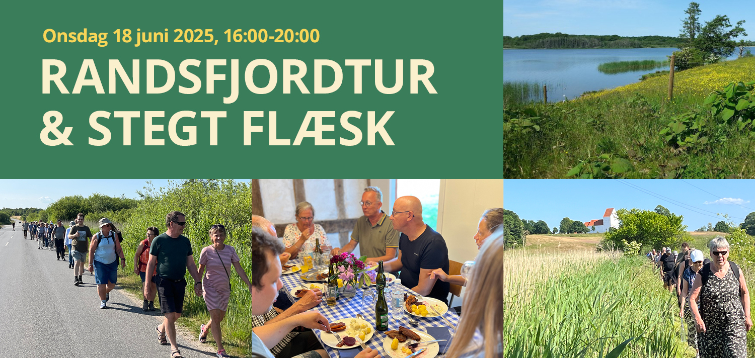 Randsfjordtur & Stegt flæsk