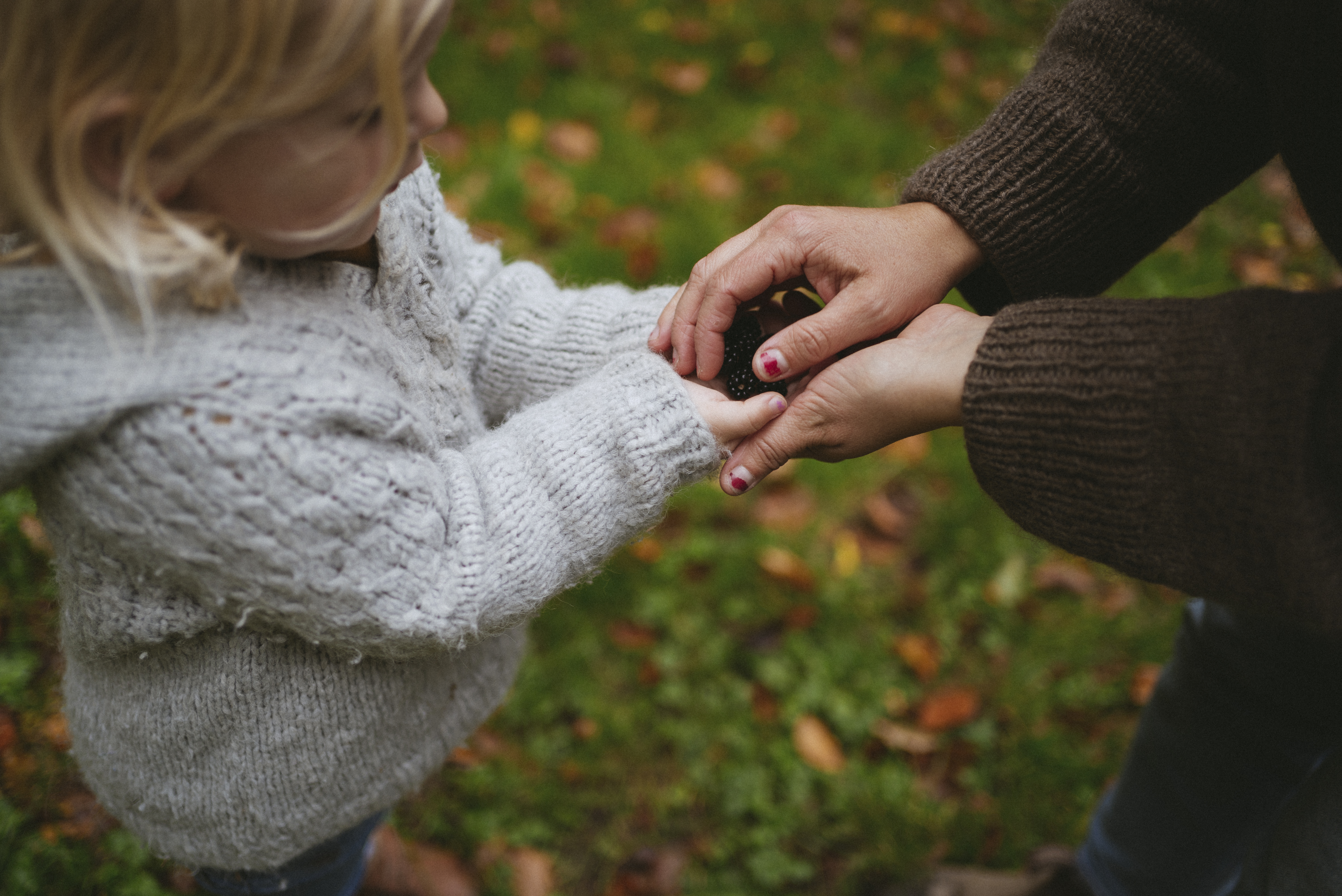 Pige samler brombær