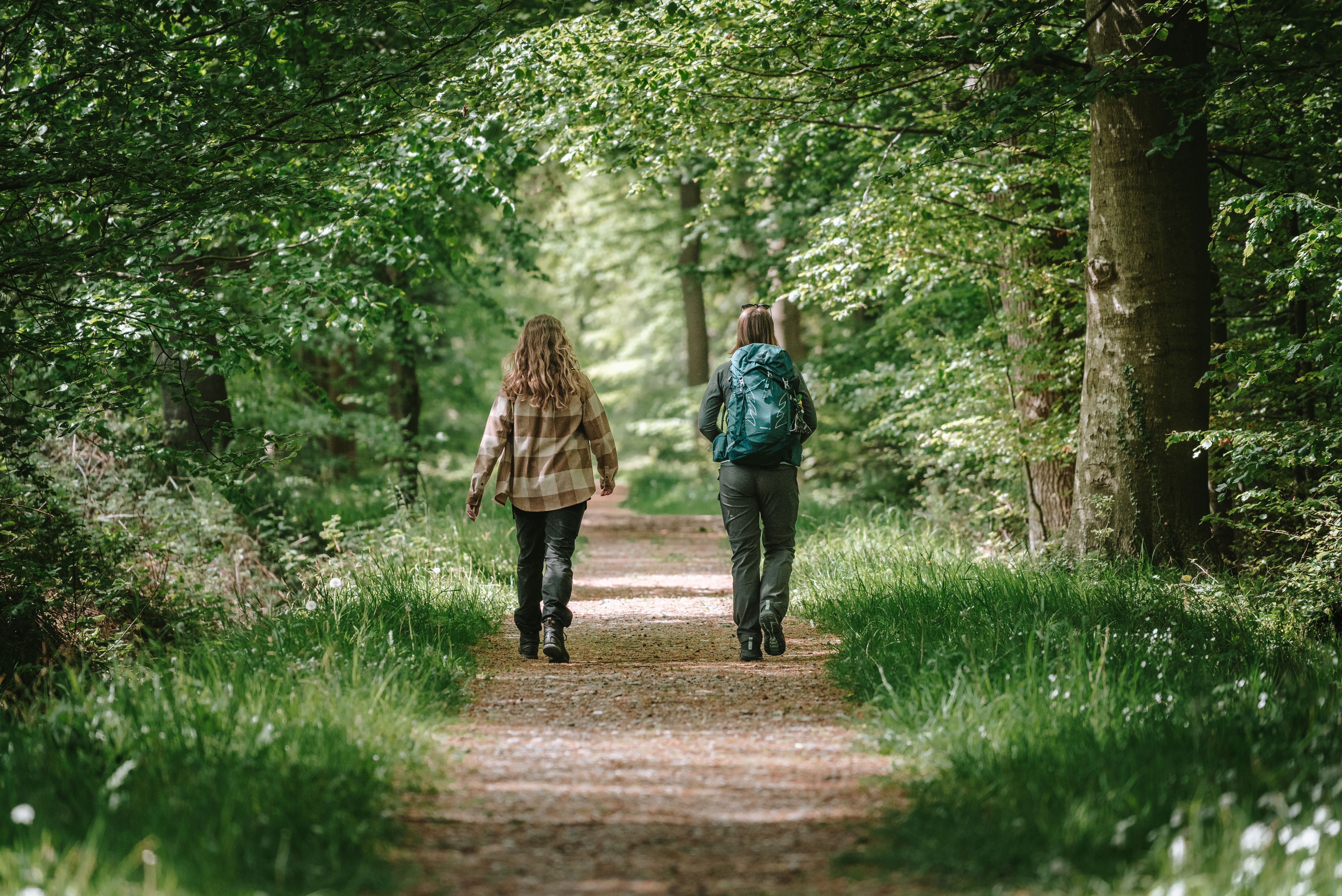 Kvinder der vandrer i en skov