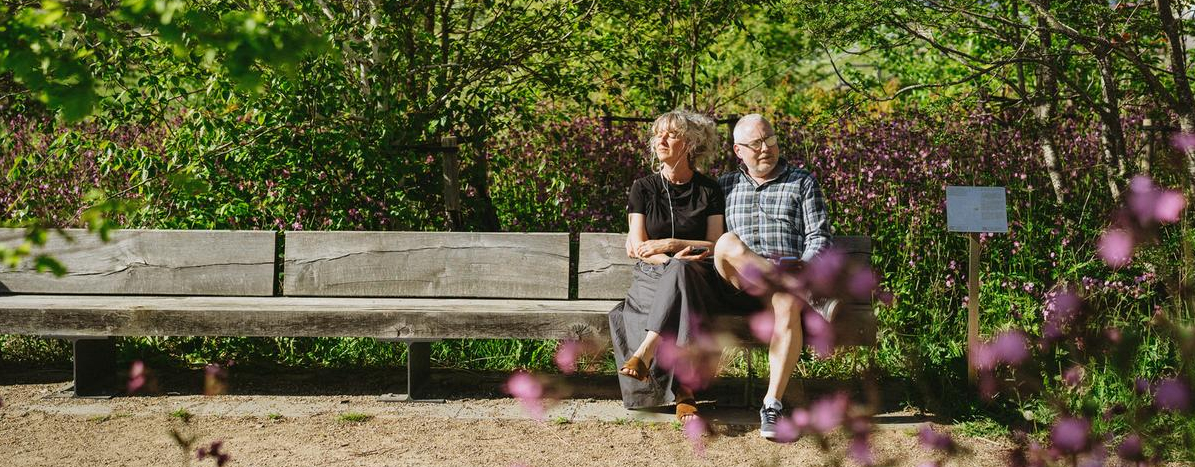 Seniorrådsvalg i Fredericia Kommune