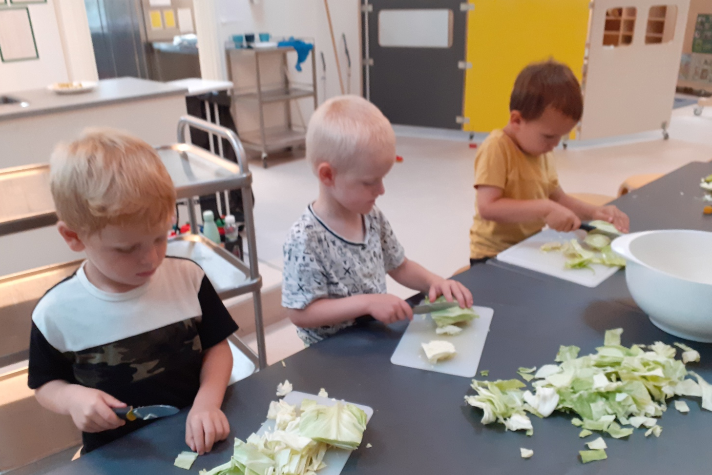 Der snittes kål til bålmad