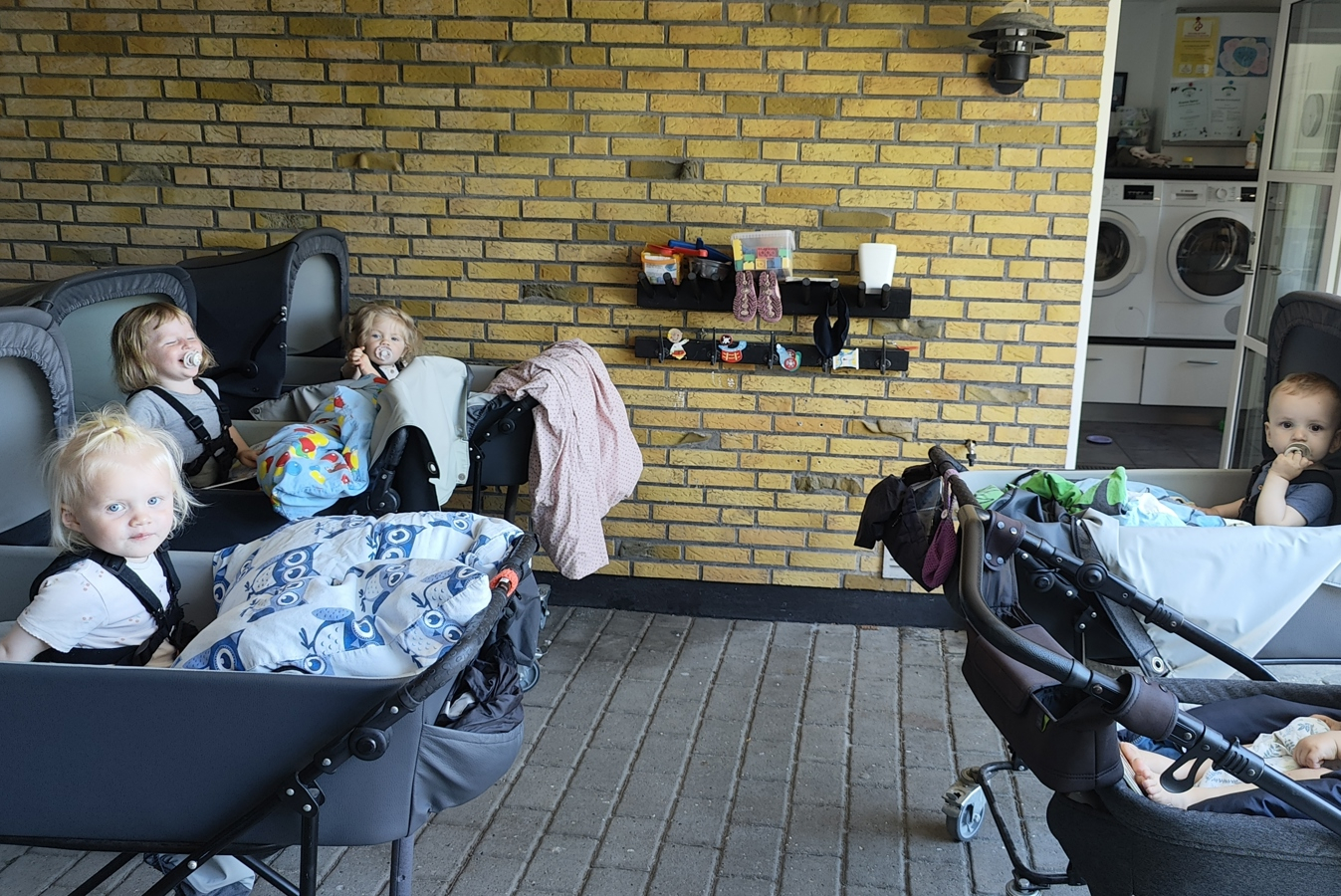 billede af børn i barnevogne